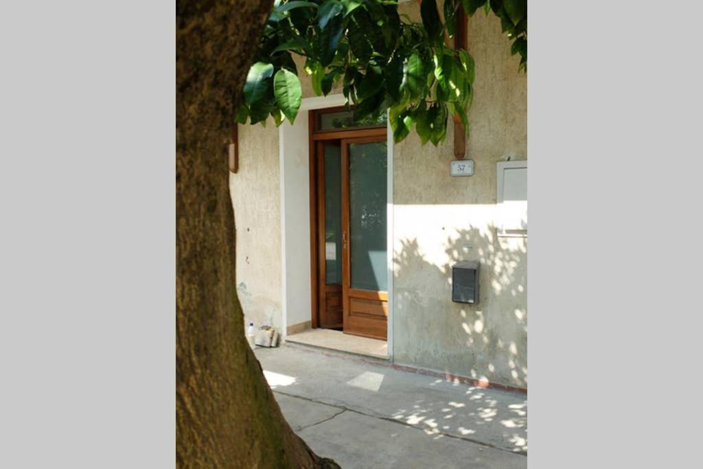 La Casina Di Bruna Mommio 외부 사진